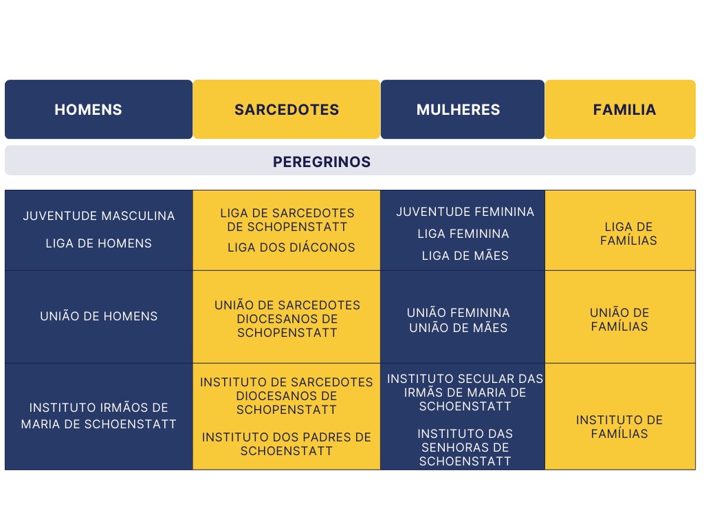 organização 2