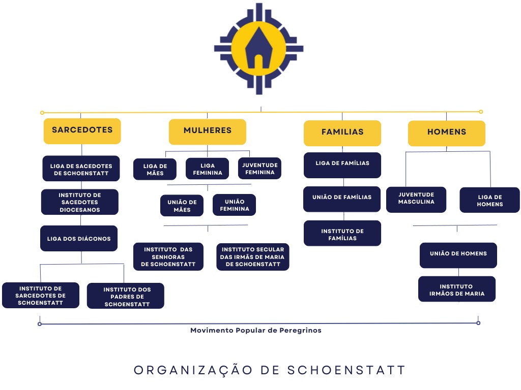 organização